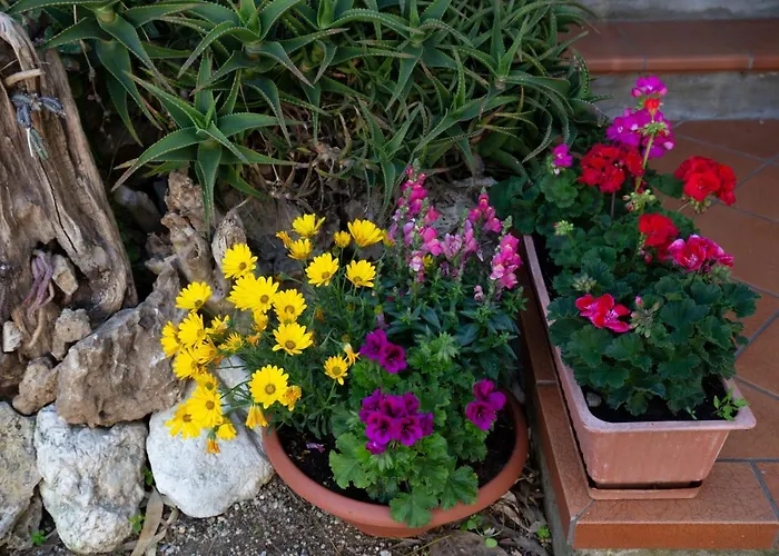 Aurelia Apartamento *