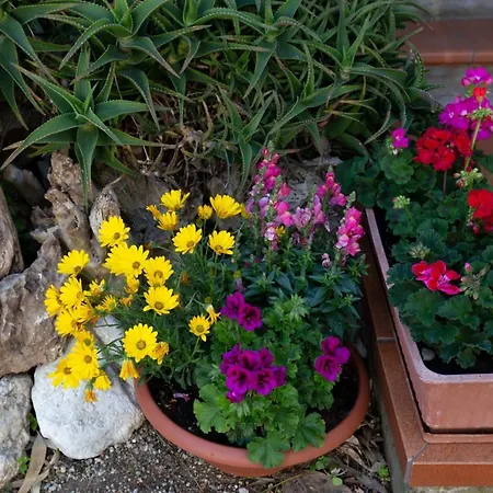 Aurelia Апартаменты *